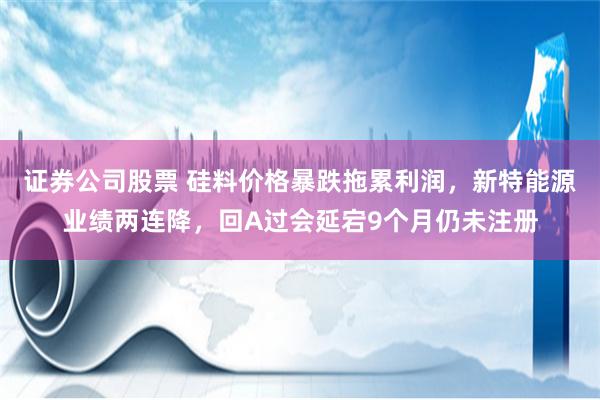 证券公司股票 硅料价格暴跌拖累利润，新特能源业绩两连降，回A过会延宕9个月仍未注册