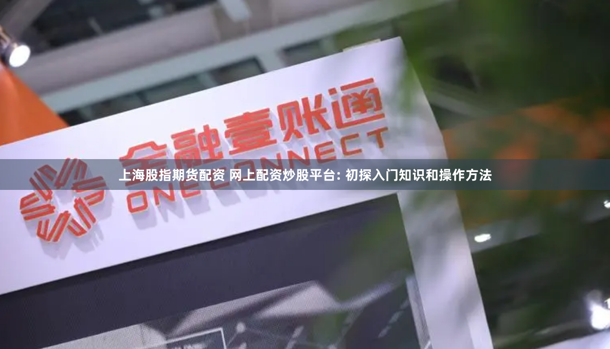 上海股指期货配资 网上配资炒股平台: 初探入门知识和操作方法